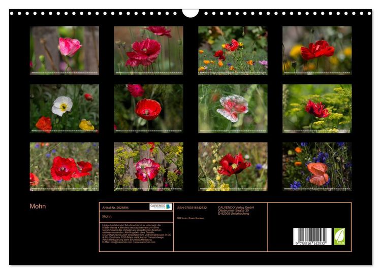 Produktbild: Mohn (Wandkalender 2026 DIN A3 quer), CALVENDO Monatskalender