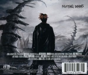 Produktbild: Fighting Demons