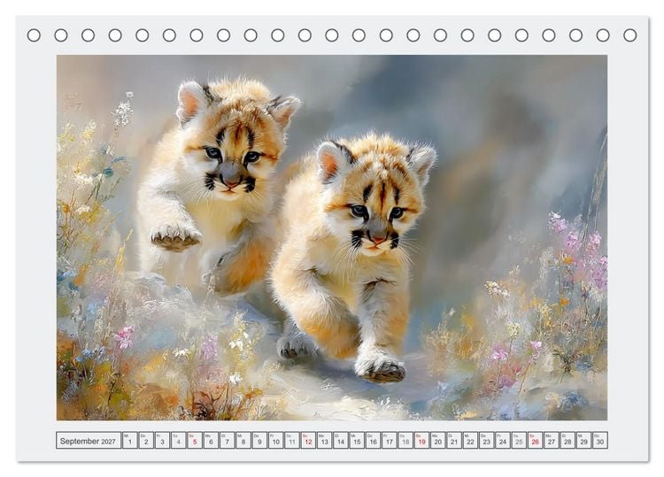 Produktbild: Pumababys. Verspielte Bergl&ouml;wenkinder in der Natur (Tischkalender 2027 DIN A5 quer), CALVENDO Monatskalender