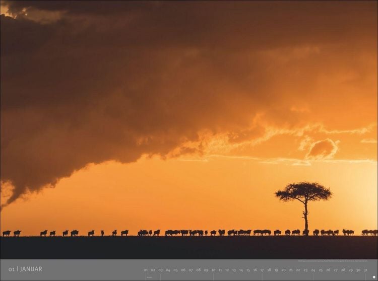 Produktbild: Afrika - Edition Alexander von Humboldt Kalender 2027