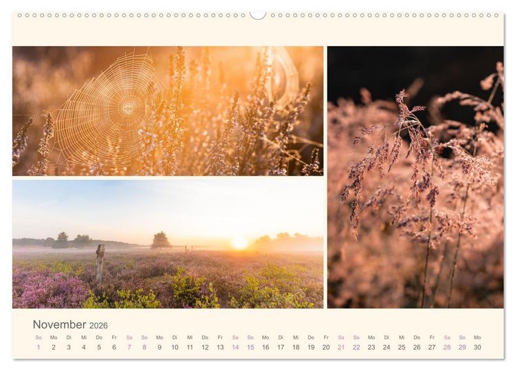 Produktbild: Mehlinger Heide (Wandkalender 2026 DIN A2 quer), CALVENDO Monatskalender