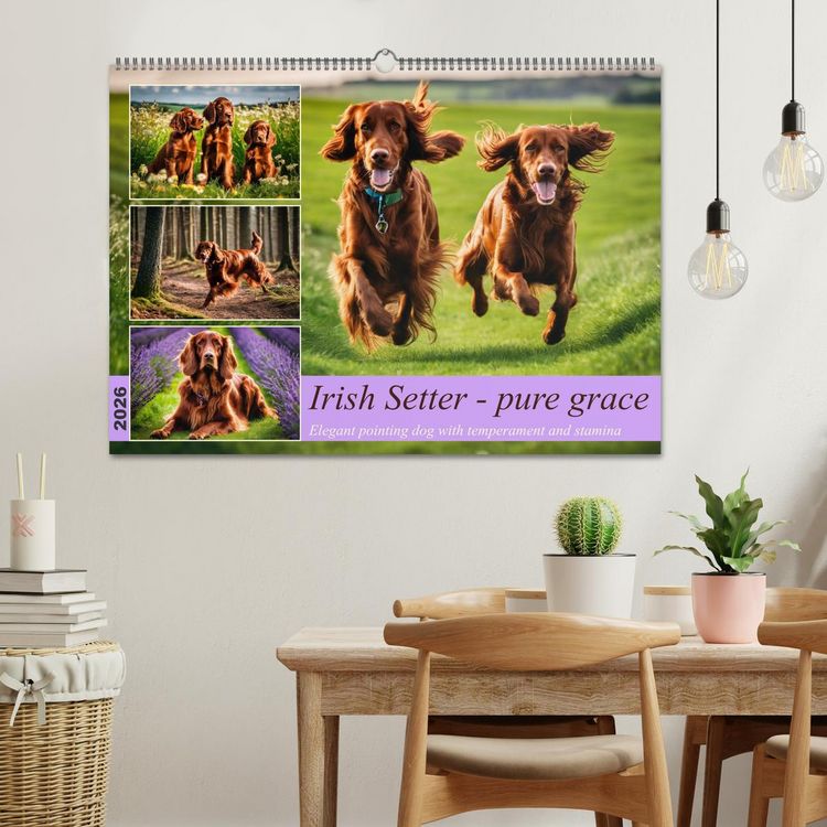 Produktbild: Irish Setter - pure grace (Wall Calendar 2026 DIN A2 landscape), CALVENDO 12 Month Wall Calendar