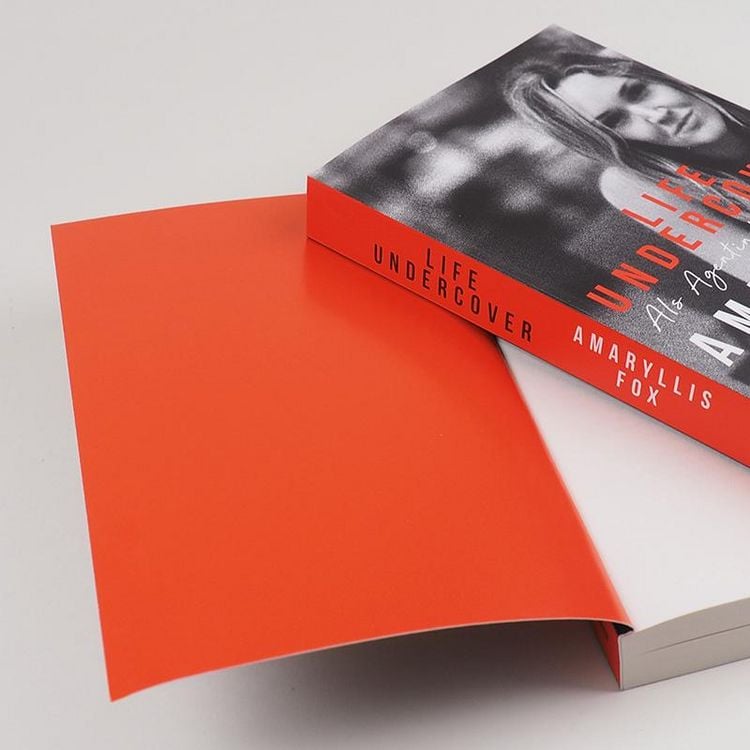 Produktbild: Life Undercover