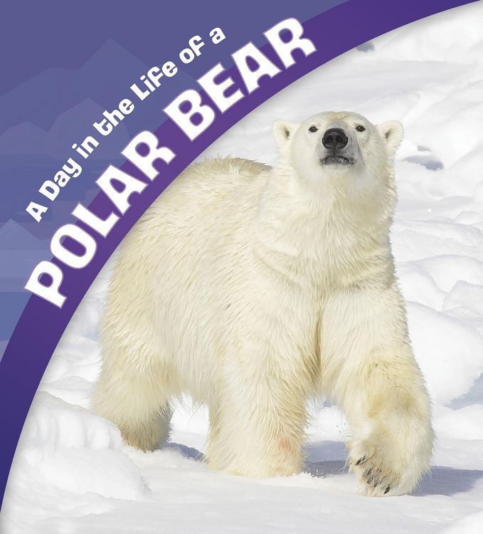 Produktbild: Day in the Life of a Polar Bear