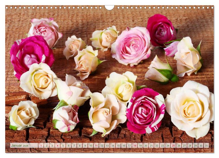 Produktbild: So viele sch&ouml;ne Rosen (Wandkalender 2026 DIN A3 quer), CALVENDO Monatskalender