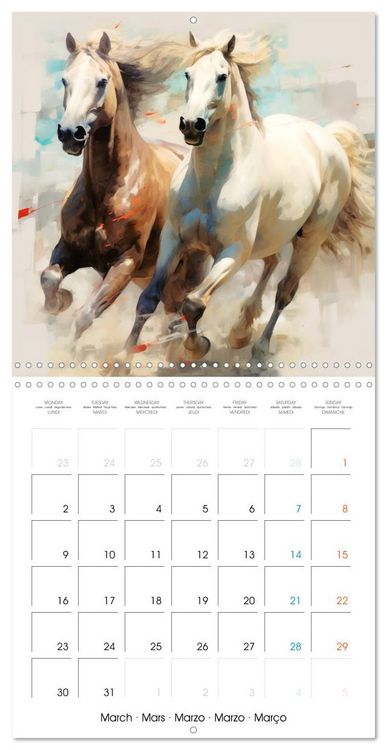 Produktbild: &Eacute;l&eacute;gance &eacute;quine (Calendrier mural carr&eacute; 2026 30x30 cm) Calendrier double avec une page pour vos prises de notes
