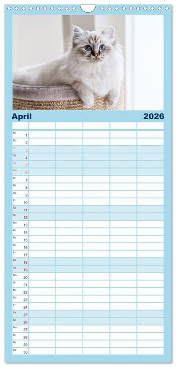 Produktbild: Familienplaner 2026 - Heilige Birma Katzen Kalender mit 5 Spalten (Wandkalender, 21 x 45 cm) CALVENDO