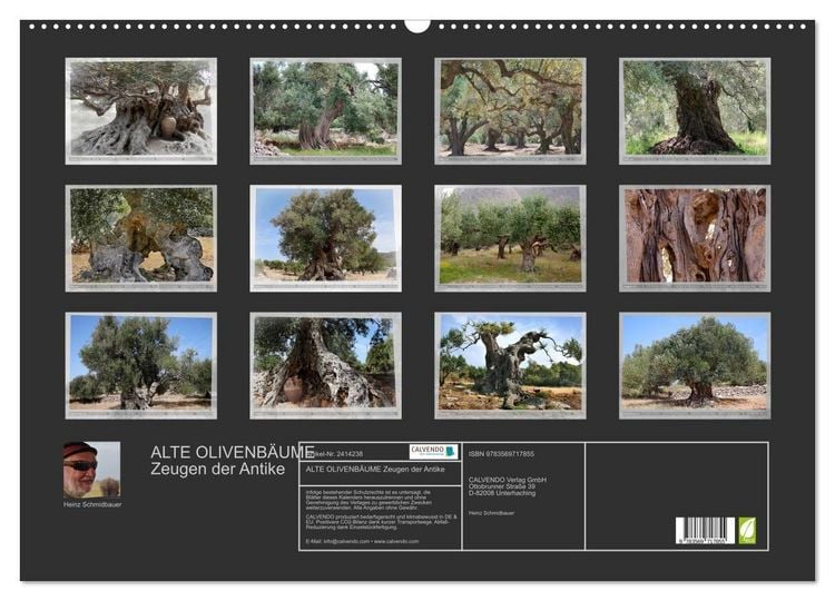 Produktbild: ALTE OLIVENB&Auml;UME Zeugen der Antike (Wandkalender 2027 DIN A2 quer), CALVENDO Monatskalender