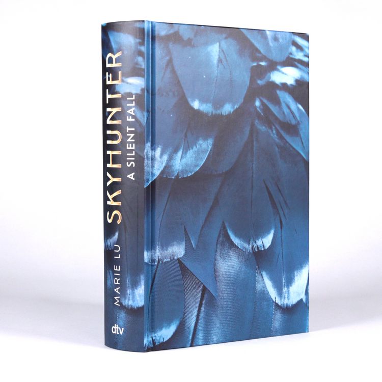 Produktbild: Skyhunter &ndash; A Silent Fall