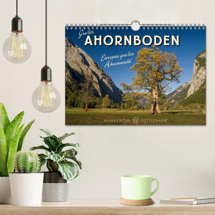 Produktbild: Gro&szlig;er Ahornboden - Europas gro&szlig;er Ahornwald (Wandkalender 2026 DIN A4 quer), CALVENDO Monatskalender