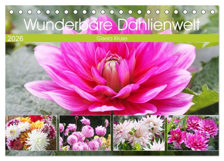 Produktbild: Wunderbare Dahlienwelt (Tischkalender 2026 DIN A5 quer), CALVENDO Monatskalender