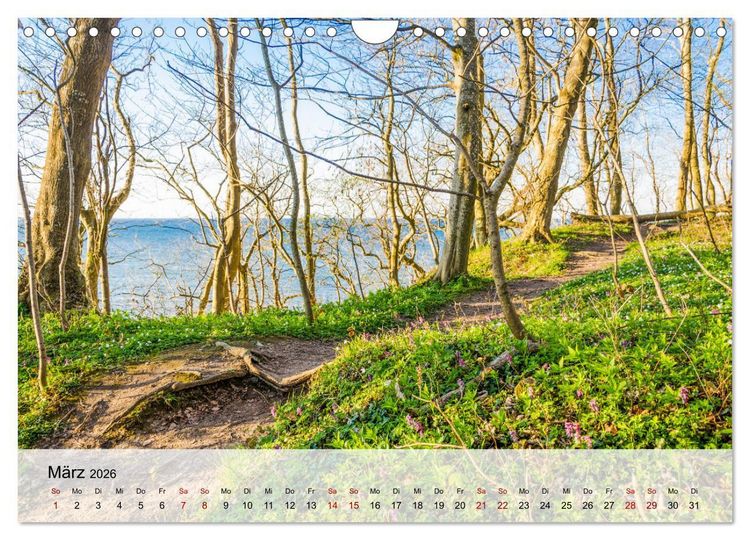 Produktbild: Schwedeneck Natur und Meer (Wandkalender 2026 DIN A4 quer), CALVENDO Monatskalender