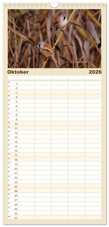 Produktbild: Familienplaner 2026 - V&ouml;gel ganz nah mit 5 Spalten (Wandkalender, 21 x 45 cm) CALVENDO