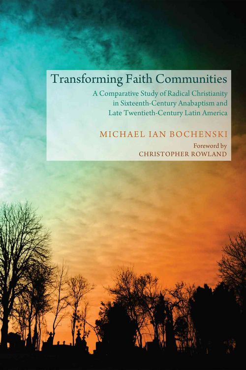 Produktbild: Transforming Faith Communities