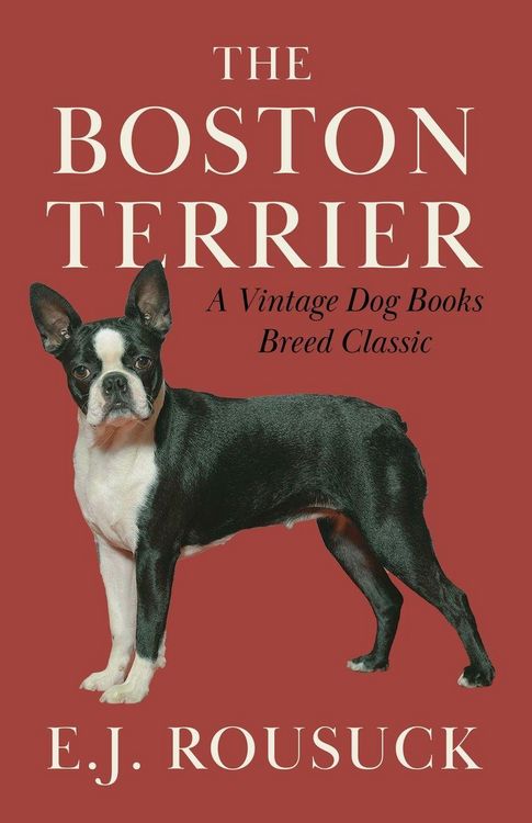 Produktbild: The Boston Terrier (A Vintage Dog Books Breed Classic)