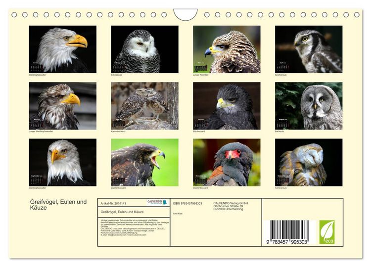 Produktbild: Greifv&ouml;gel, Eulen und K&auml;uze (Wandkalender 2026 DIN A4 quer), CALVENDO Monatskalender