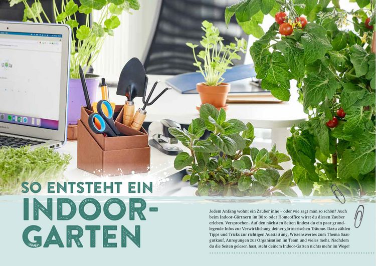 Produktbild: Endlich Mittagspause! Indoor-G&auml;rtnern zwischen Mails und Meetings mit Pfl&uuml;cksalat, Sprossen & Co.