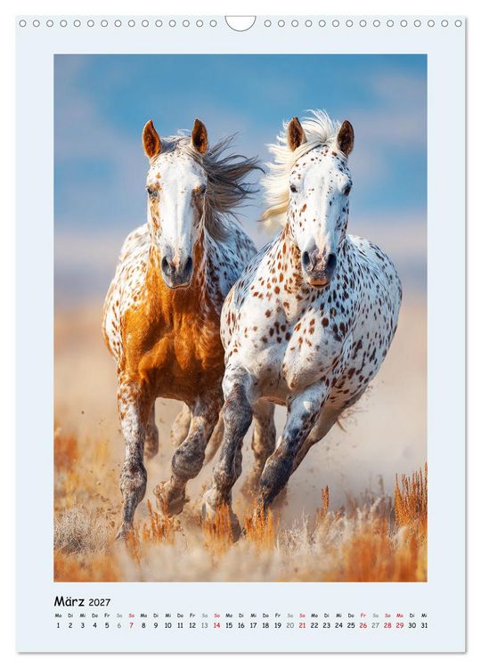 Produktbild: Der Appaloosa. Ein zuverl&auml;ssiges Westernpferd in bunter Optik (Wandkalender 2027 DIN A3 hoch), CALVENDO Monatskalender