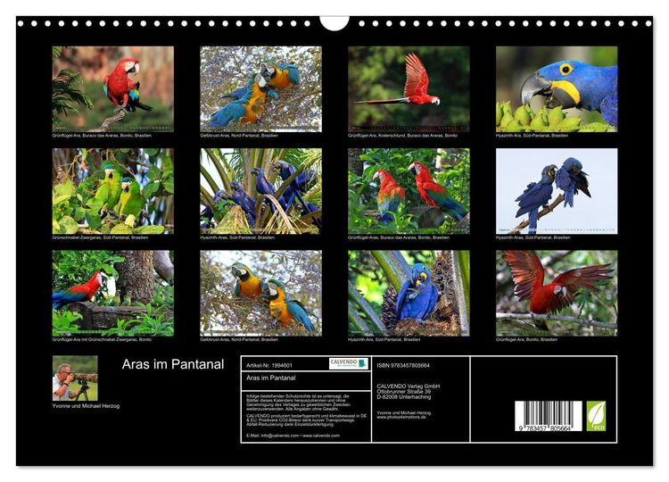 Produktbild: Aras im Pantanal (Wandkalender 2026 DIN A3 quer), CALVENDO Monatskalender