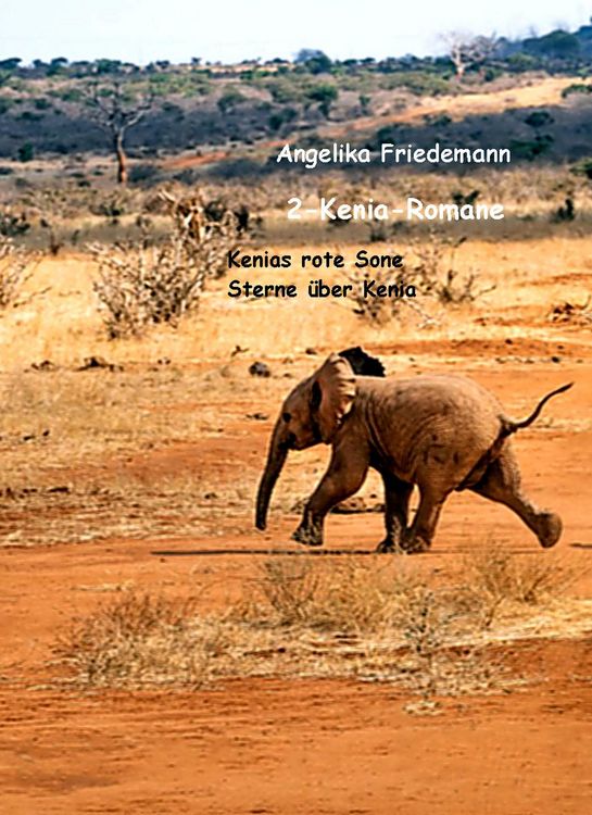 Produktbild: 2-Kenia-Romane