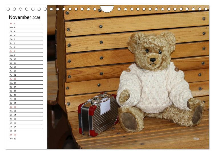 Produktbild: Teddy unterwegs (Wandkalender 2026 DIN A4 quer), CALVENDO Monatskalender