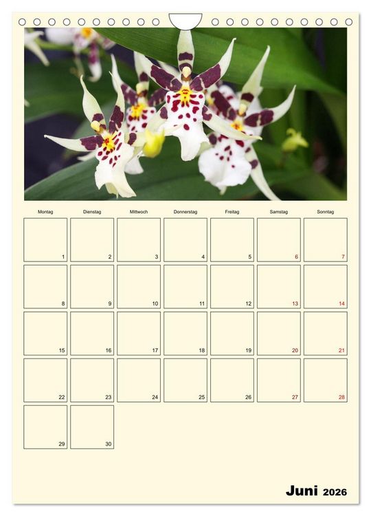 Produktbild: Orchideentr&auml;ume (Wandkalender 2026 DIN A4 hoch), CALVENDO Monatskalender