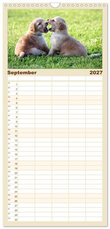 Produktbild: Familienplaner 2027 - Hovawart - nat&uuml;rlich blond mit 5 Spalten (Wandkalender, 21 x 45 cm) CALVENDO