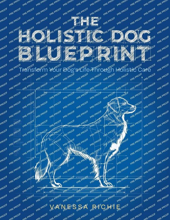 Produktbild: The Holistic Dog Blueprint