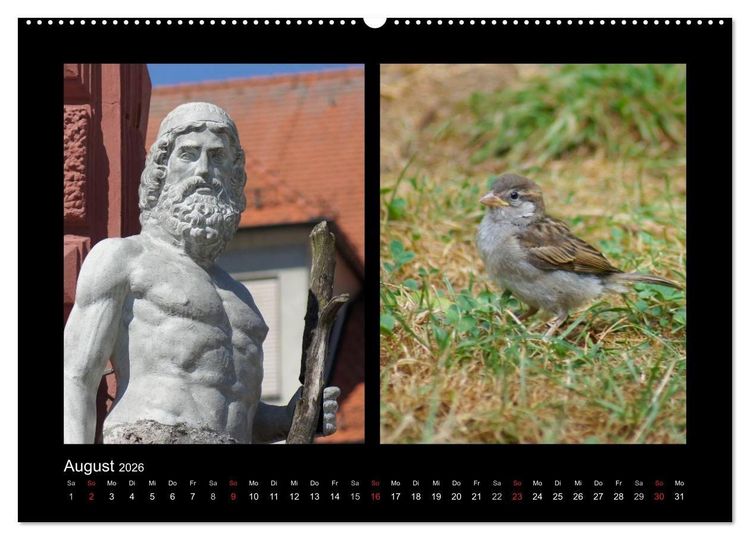 Produktbild: Ulmer Spatzen (Wandkalender 2026 DIN A2 quer), CALVENDO Monatskalender