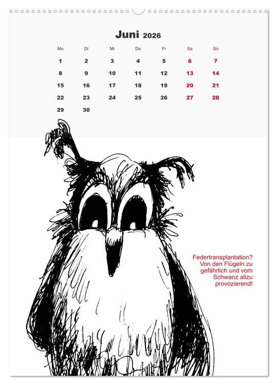 Produktbild: Vor dem Spiegel 2026 (Wandkalender 2026 DIN A2 hoch), CALVENDO Monatskalender