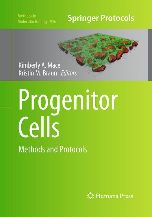 Produktbild: Progenitor Cells