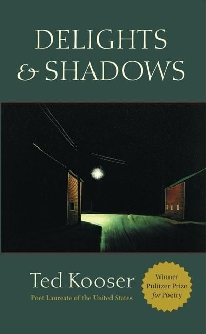 Produktbild: Delights & Shadows