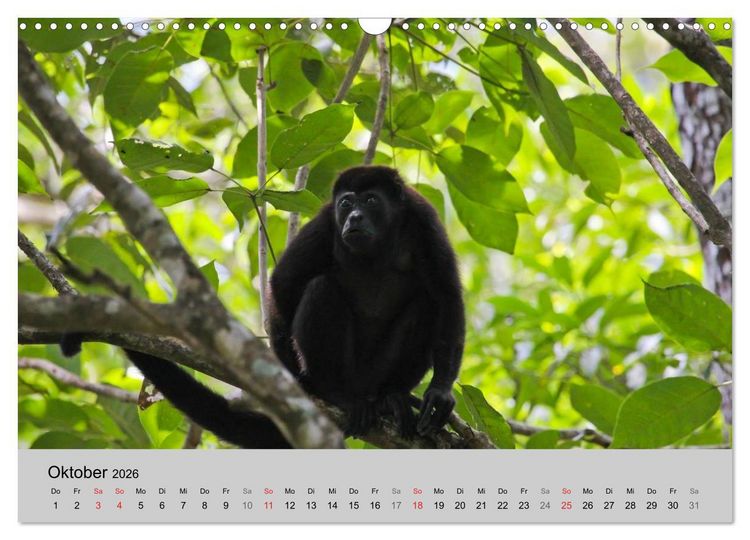 Produktbild: Costa Rica (Wandkalender 2026 DIN A3 quer), CALVENDO Monatskalender