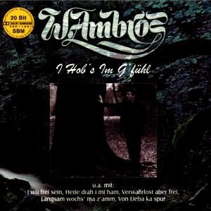 Produktbild: Ambros, W: I Hob's Im G'f&uuml;hl