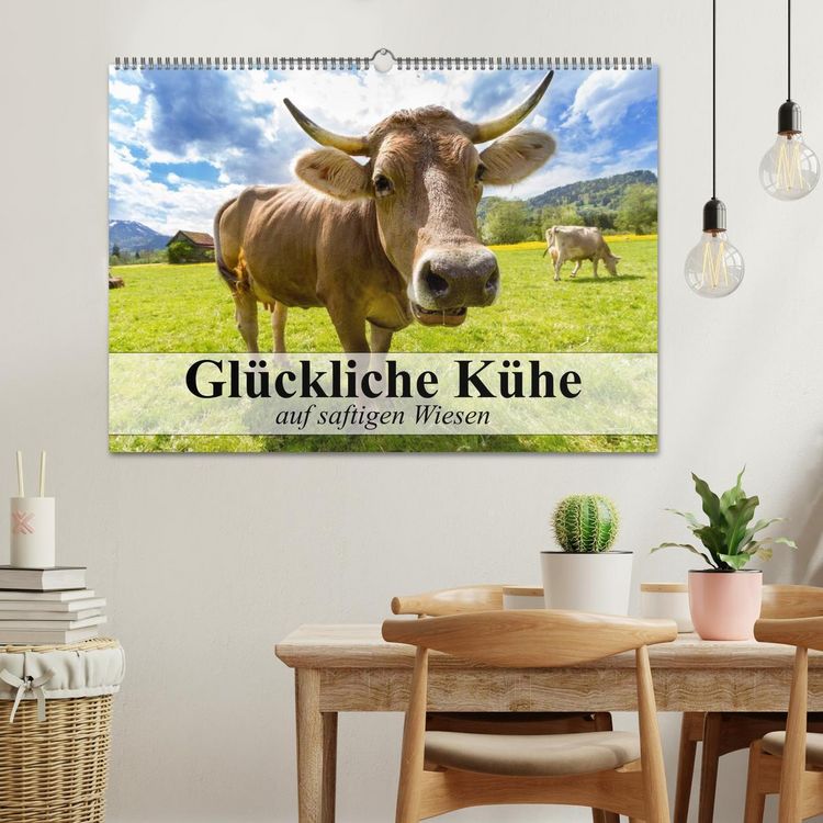 Produktbild: Gl&uuml;ckliche K&uuml;he auf saftigen Wiesen (Wandkalender 2026 DIN A2 quer), CALVENDO Monatskalender