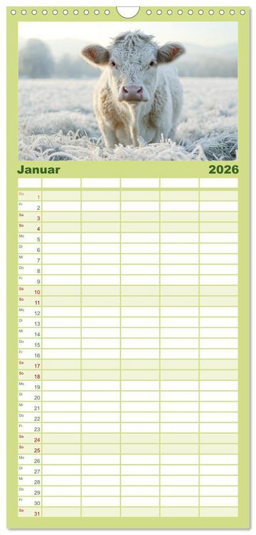 Produktbild: Familienplaner 2026 - K&Uuml;HE AUF DER ALM &ndash; Der Kalender aus Bayern mit 5 Spalten (Wandkalender, 21 x 45 cm) CALVENDO