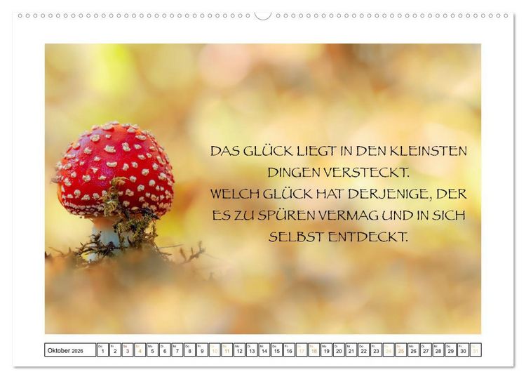 Produktbild: Spruch verliebt (hochwertiger Premium Wandkalender 2026 DIN A2 quer), Kunstdruck in Hochglanz