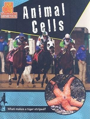 Produktbild: Animal Cells