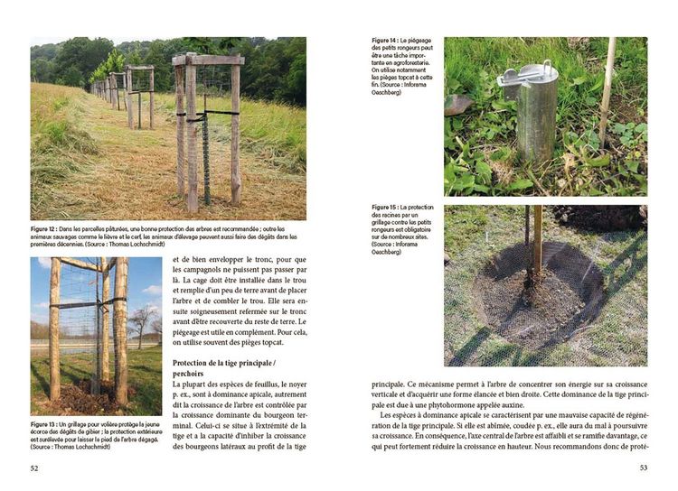 Produktbild: La pratique agroforesti&egrave;re en Suisse