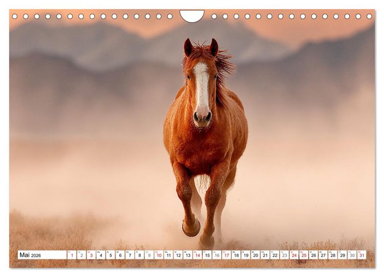 Produktbild: Pferde in freier Natur (Wandkalender 2026 DIN A4 quer), CALVENDO Monatskalender