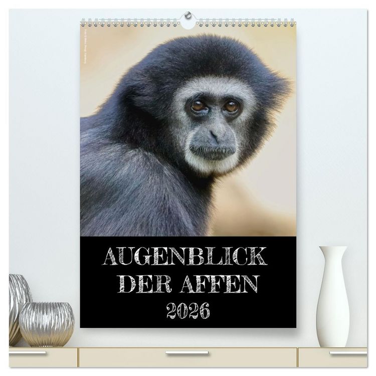 Produktbild: Augenblick der Affen 2026 (hochwertiger Premium Wandkalender 2026 DIN A2 hoch), Kunstdruck in Hochglanz