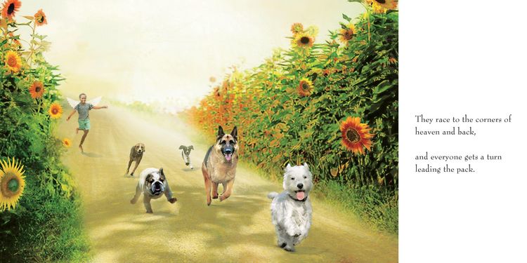 Produktbild: Heaven of Animals