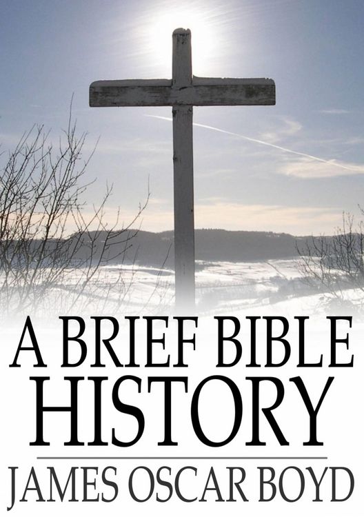 Produktbild: Brief Bible History