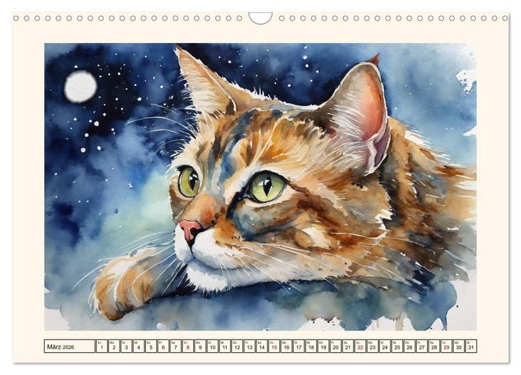 Produktbild: Samtpfoten im Portrait (Wandkalender 2026 DIN A3 quer), CALVENDO Monatskalender
