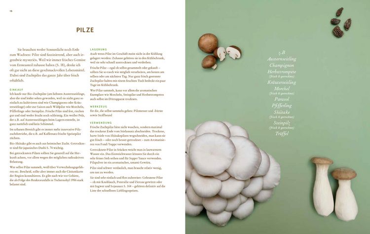 Produktbild: Immer wieder vegan