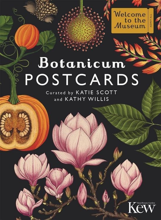 Produktbild: Botanicum Postcards