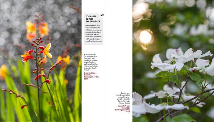 Produktbild: Garten-Shooting