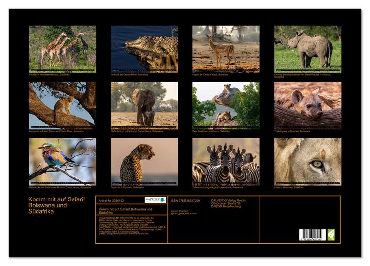 Produktbild: Komm mit auf Safari! Botswana und S&uuml;dafrika (Wandkalender 2026 DIN A2 quer), CALVENDO Monatskalender