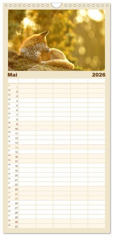 Produktbild: Familienplaner 2026 - Auf den Spuren der Stadtf&uuml;chse mit 5 Spalten (Wandkalender, 21 x 45 cm) CALVENDO