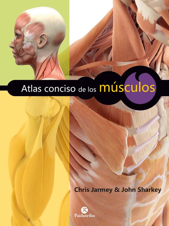 Produktbild: Atlas conciso de los m&uacute;sculos (Color)